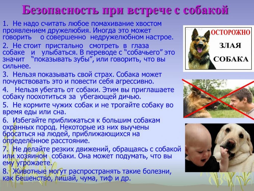 0f4a251fa38850220d1a6c5dc7b3312a.jpeg