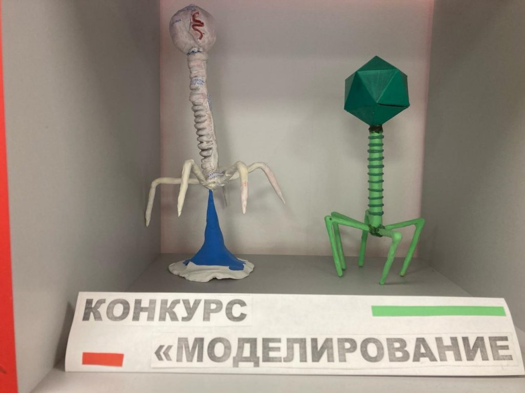 71e60d2ba29fcdc1ab4ca86246f38ea7.jpeg