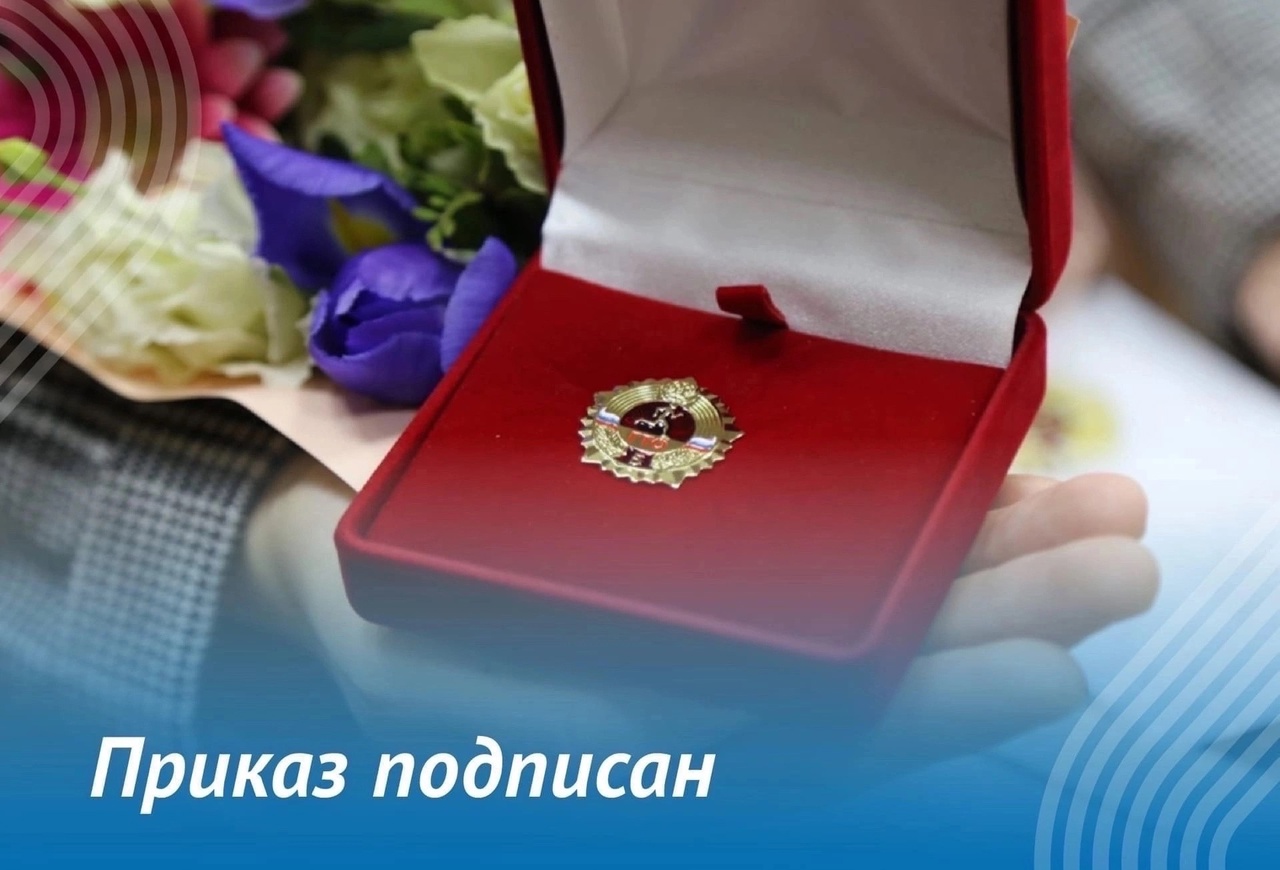 cjwdC-moYDk.jpg