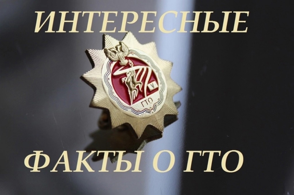 d9w9QNaXifY.jpg